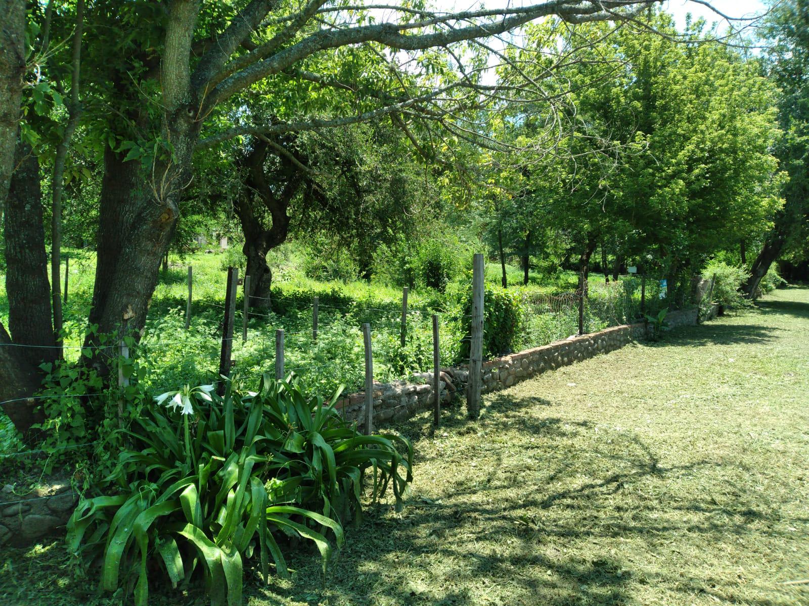 image 17