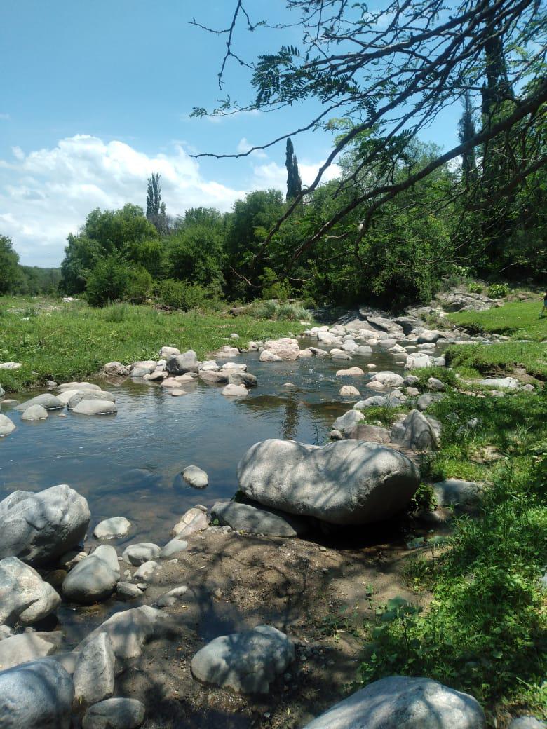 image 24