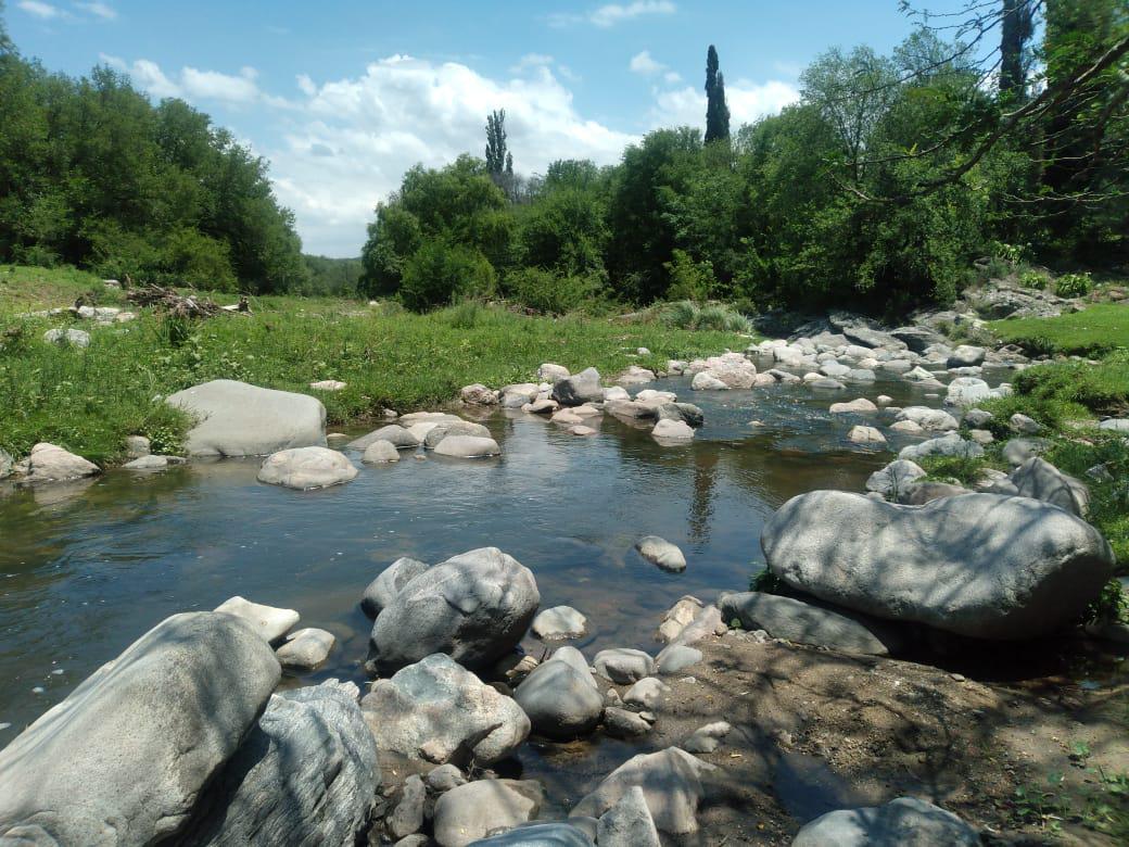 image 25