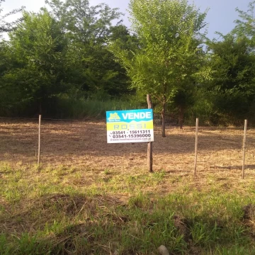 Terreno - Molinari
