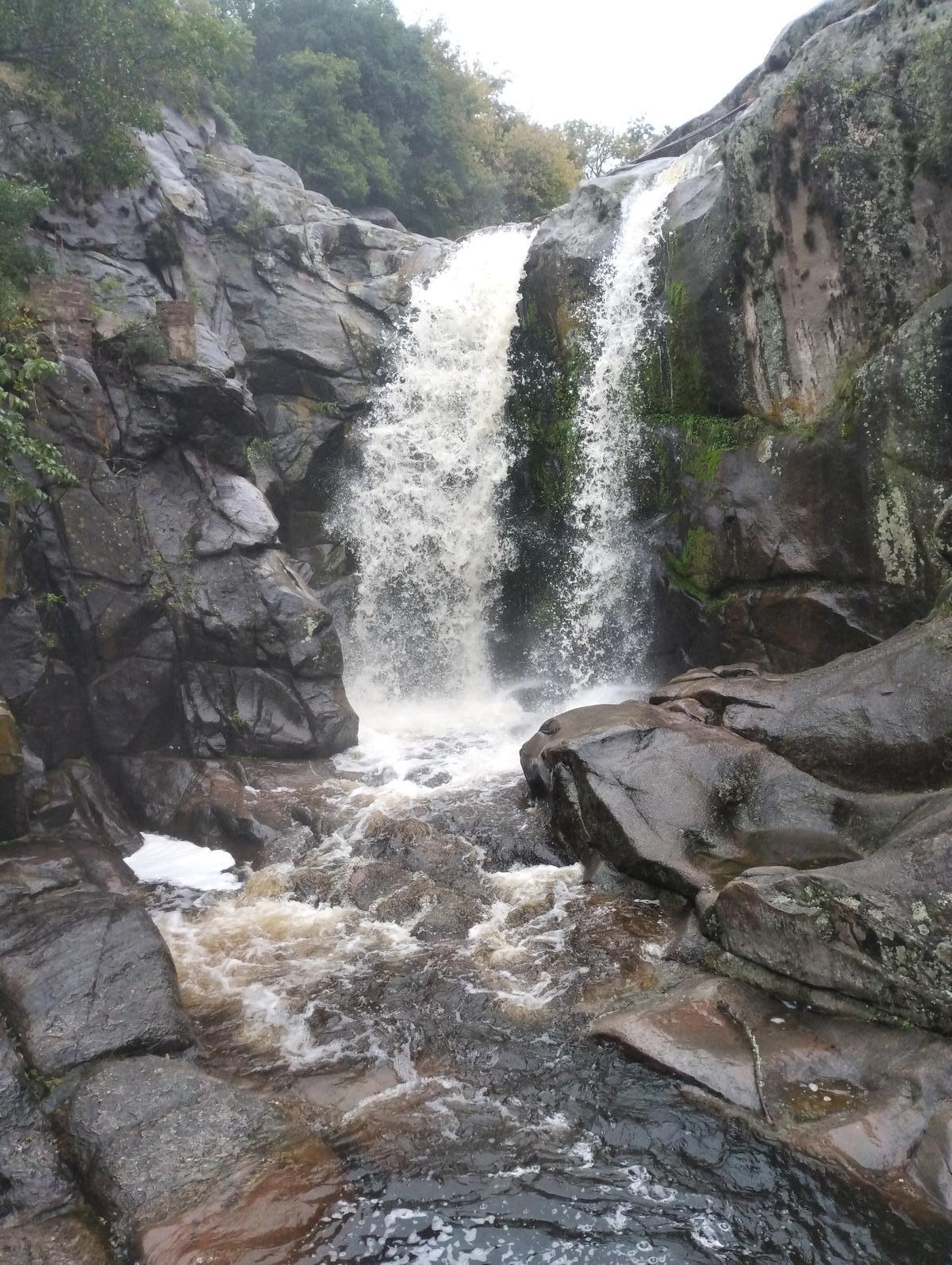image 17