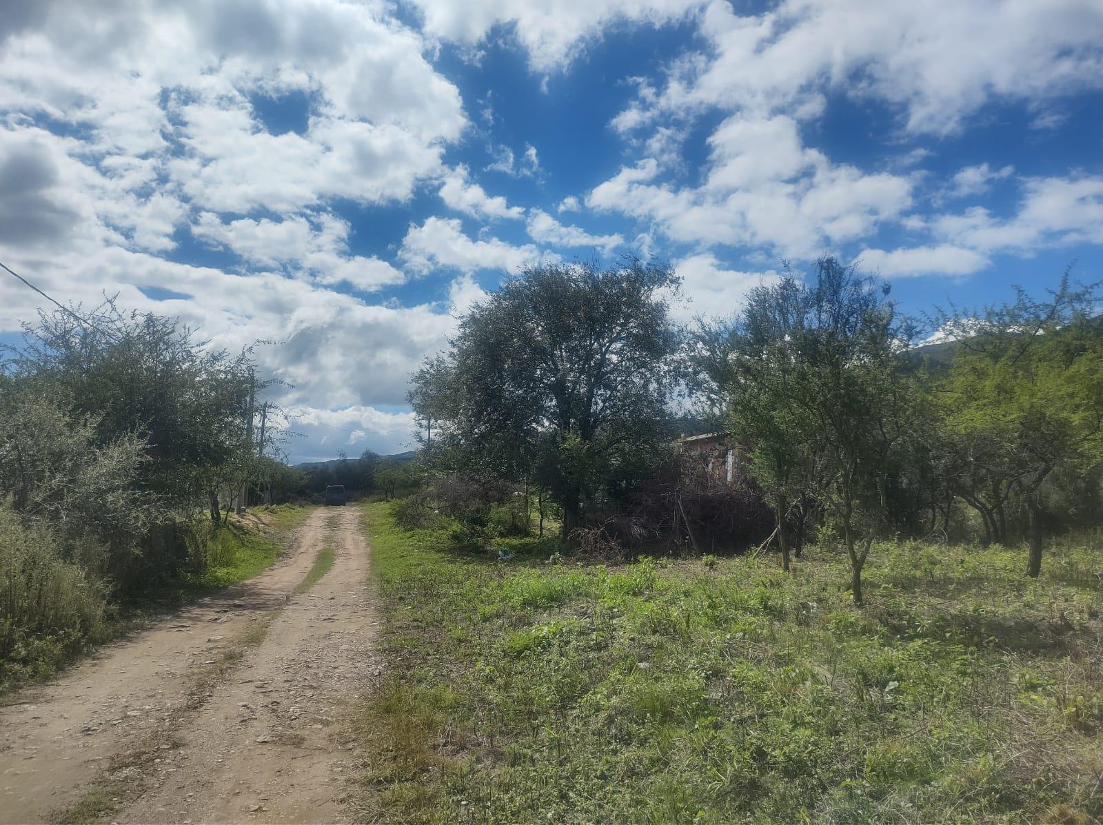 image 14