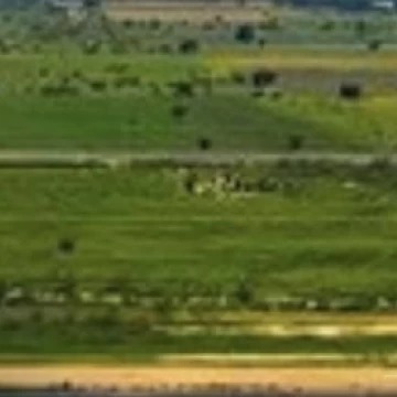 TERRENO EN RENTA EN QUERÉTARO 