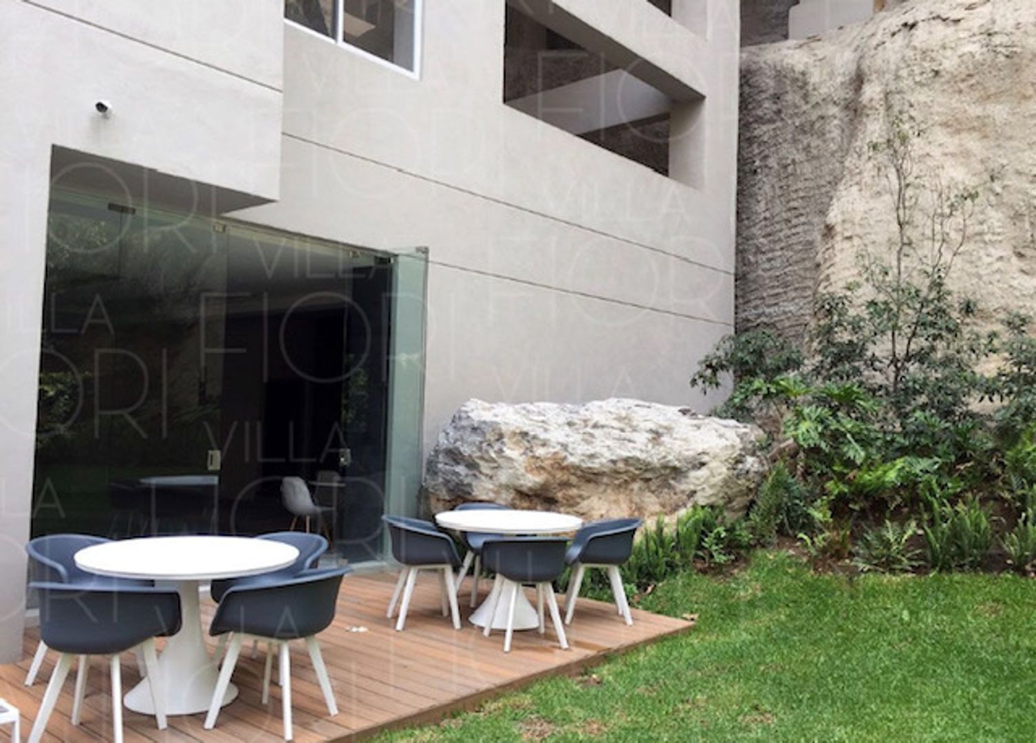 IMG_3444.jpg