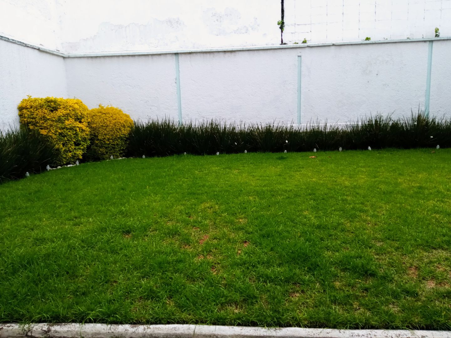 Copia de IMG_20230731_182304.jpeg