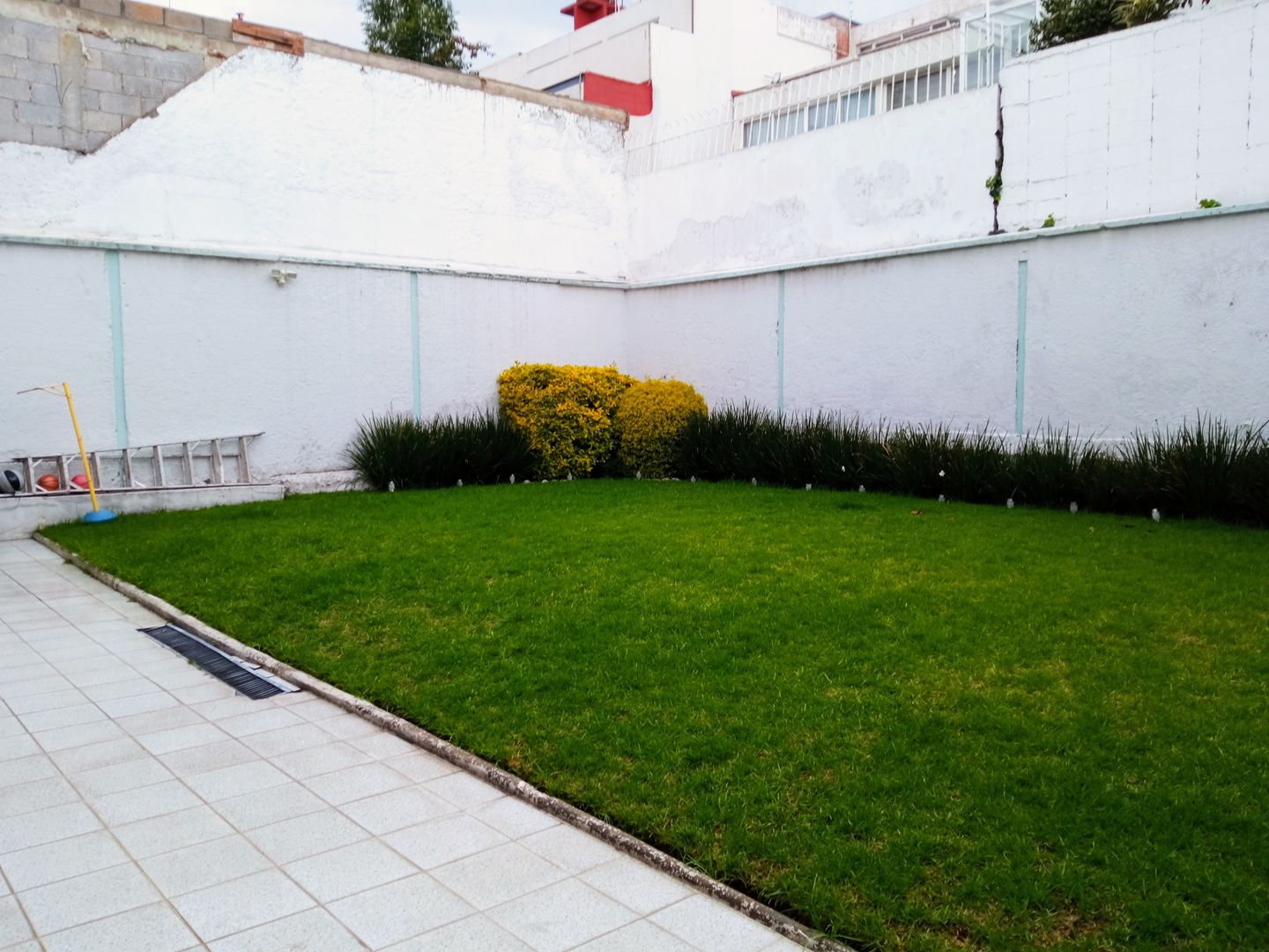 Copia de IMG_20230731_182247.jpeg