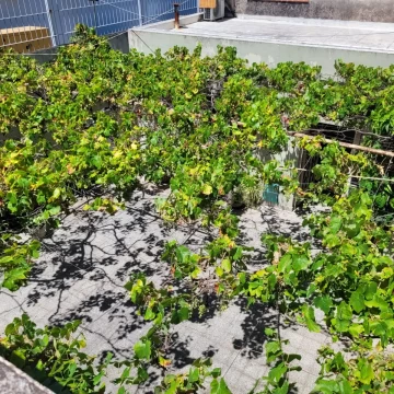 Venta - Casa Familiar con gran espacio para autos!
