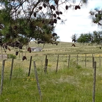 Hermosa chacra en venta en San Carlos, Uruguay