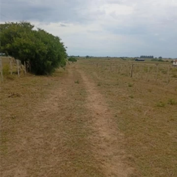 Chacra en Venta, San Carlos, Uruguay