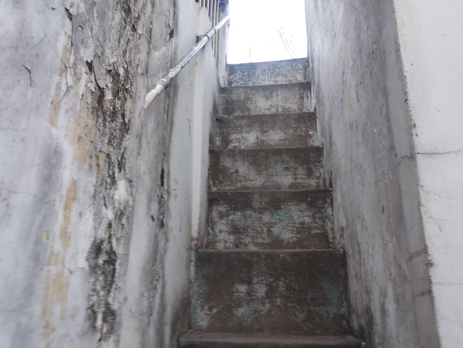 image 17