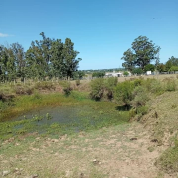 Chacra en venta, Camino de los Ceibos, Uruguay