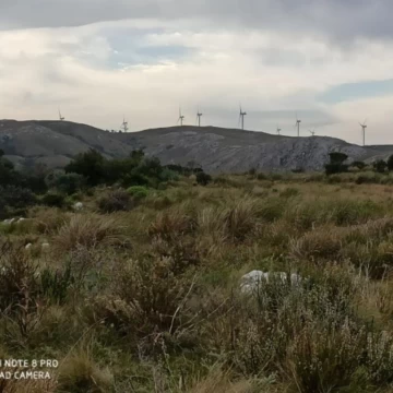 Chacra en venta con Arroyo, San Carlos Uruguay