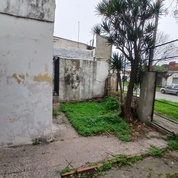 1786652235.jpeg