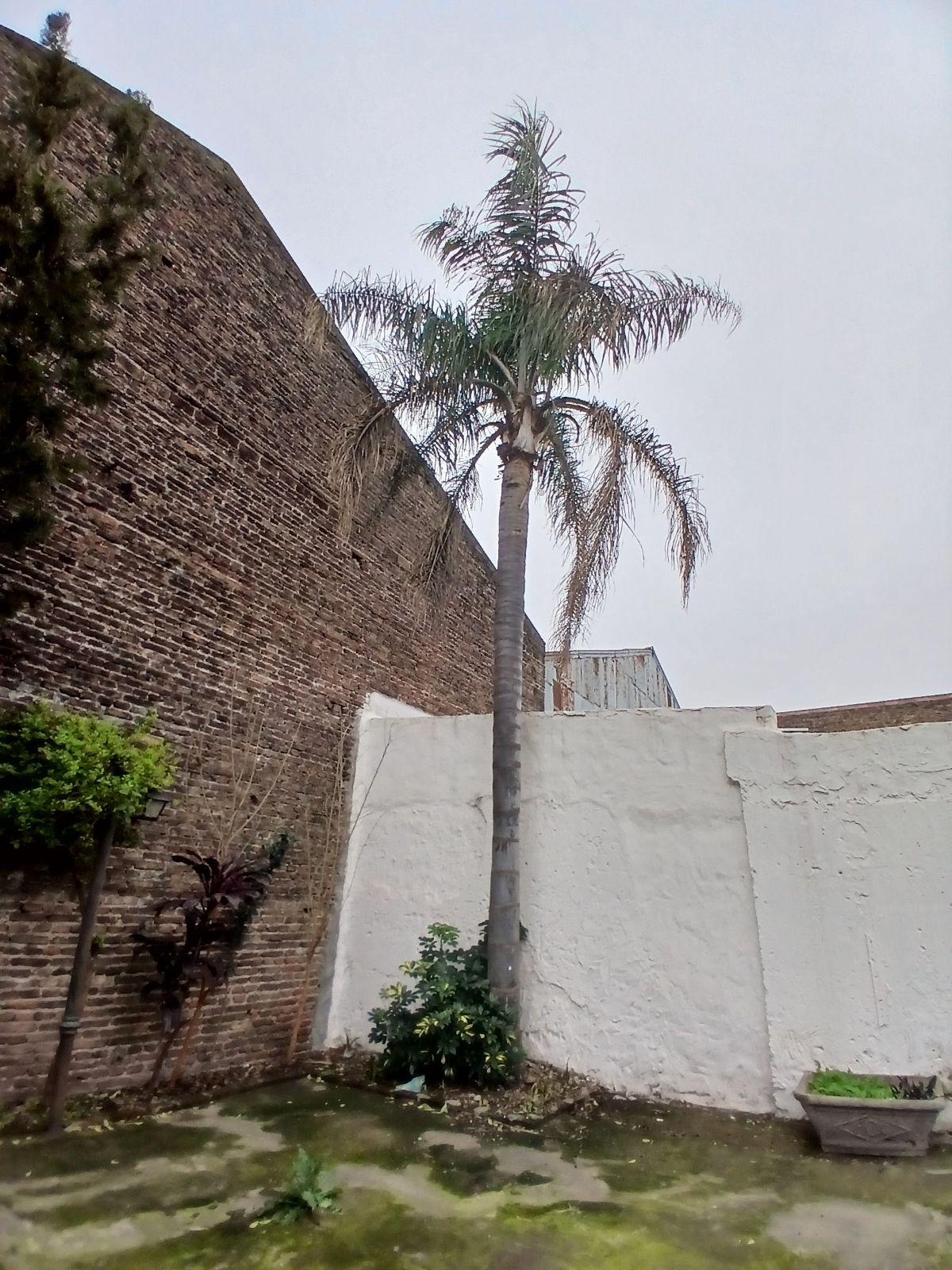 image 14