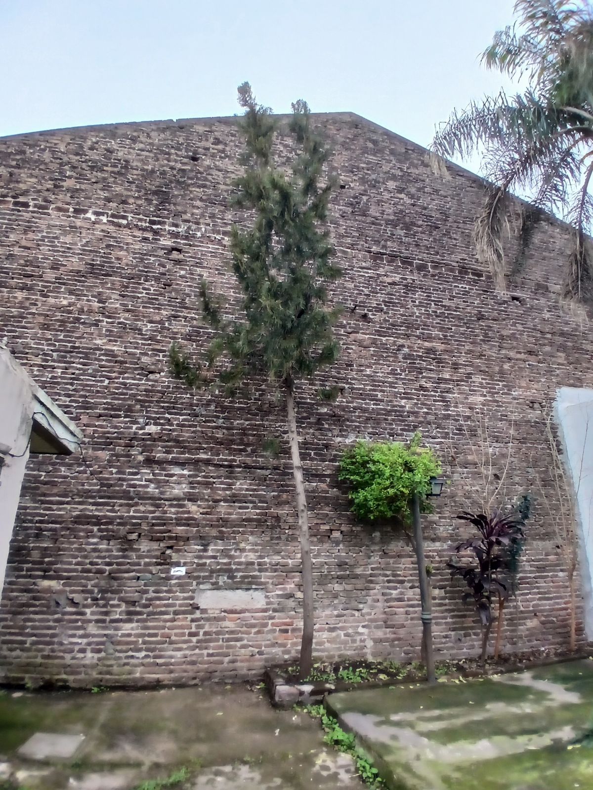 image 15