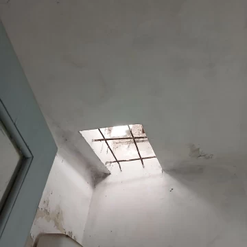 1786652246.jpeg
