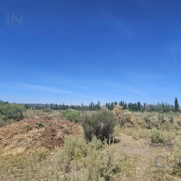 Terreno de 1 Ha en Rama Caída, calle La Bodega