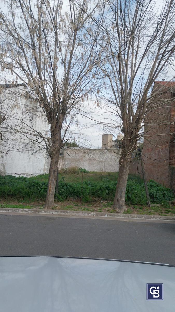 image 23