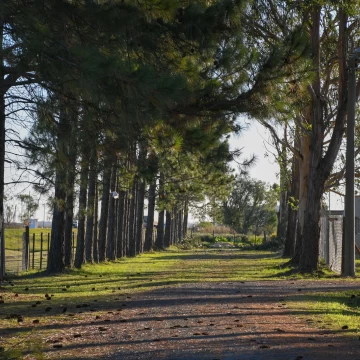 Terreno en Venta 570m2 El Amanecer Piñero