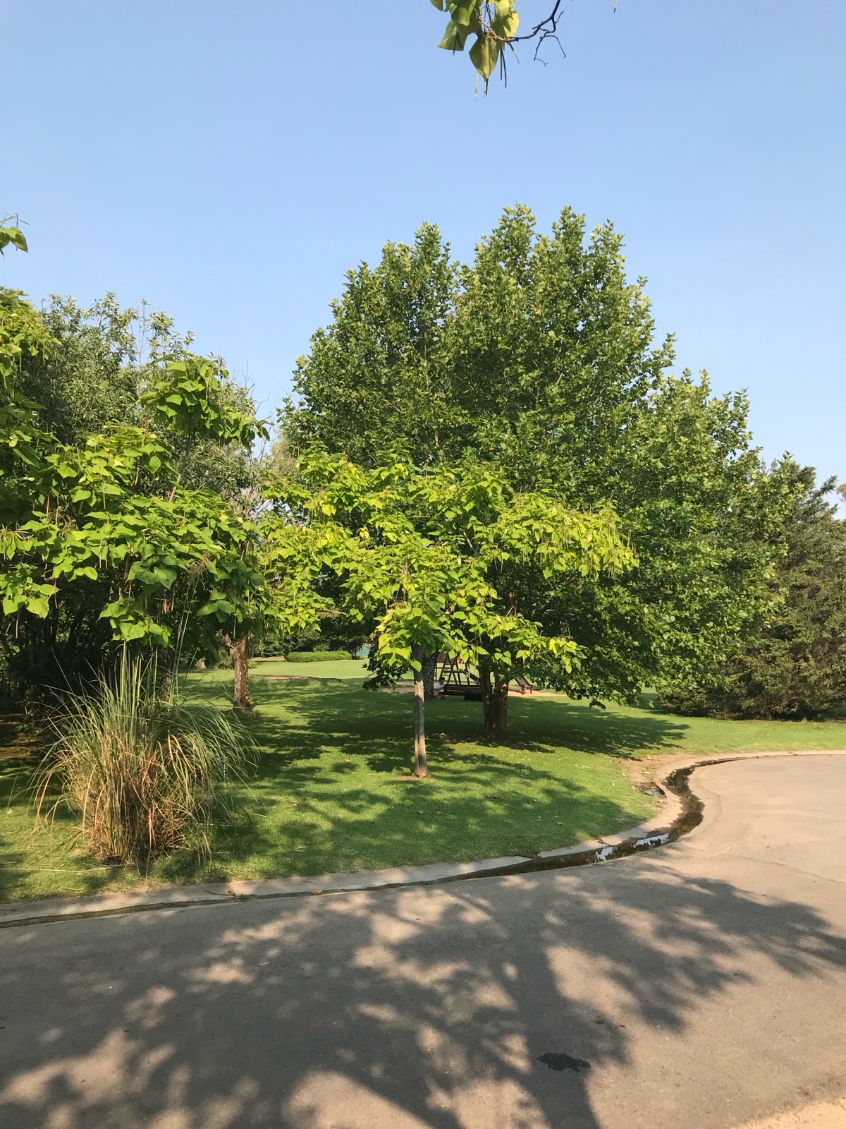 image 38