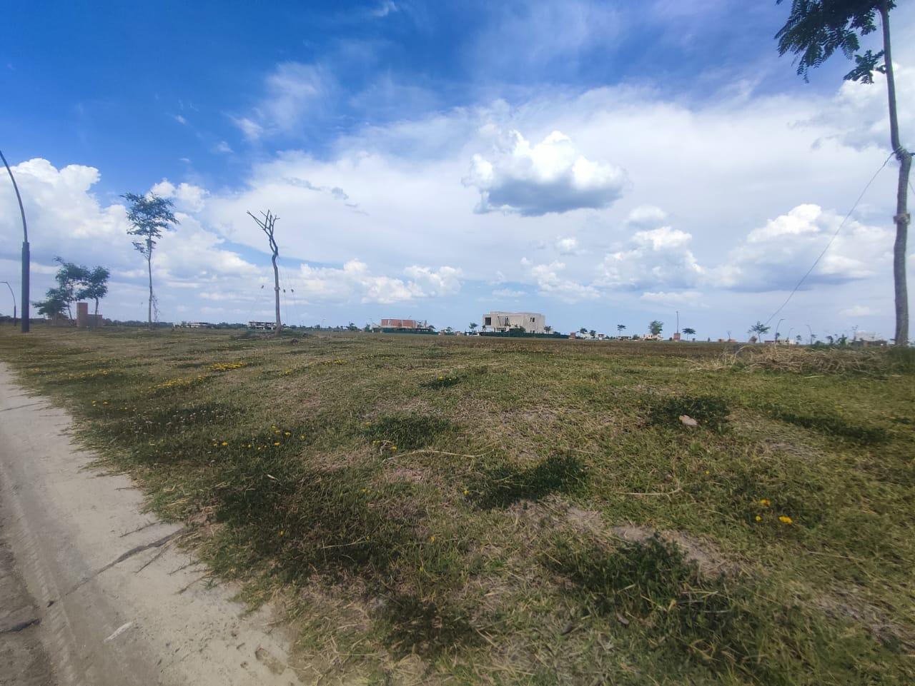 image 14
