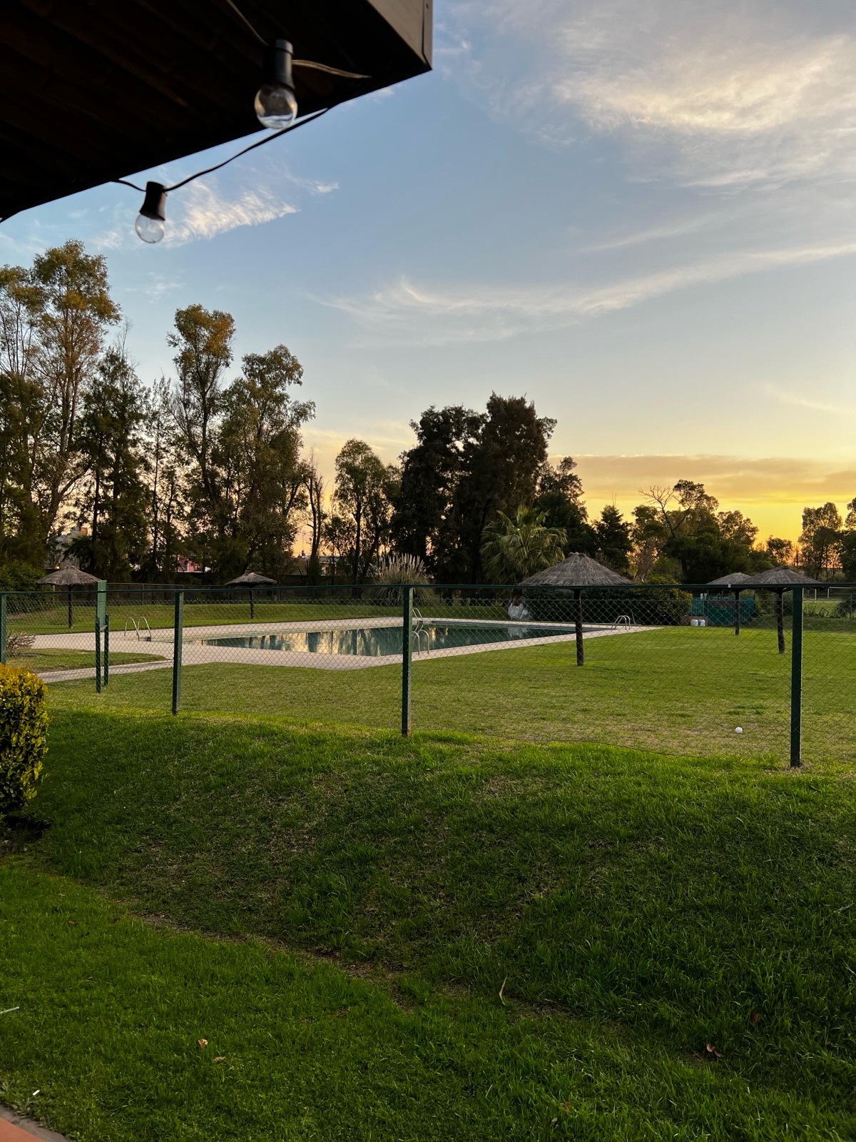image 31