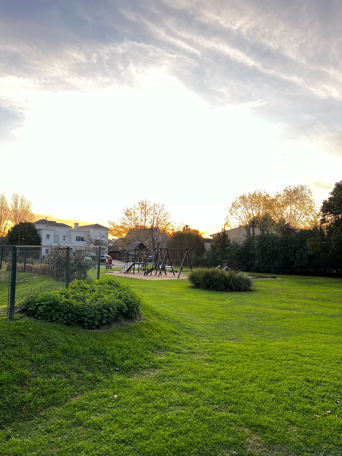 image 36