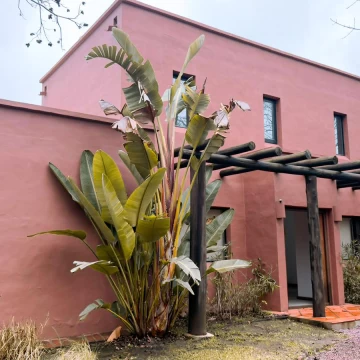 Casa de dos dormitorios en Alquiler a la Laguna en Altamira