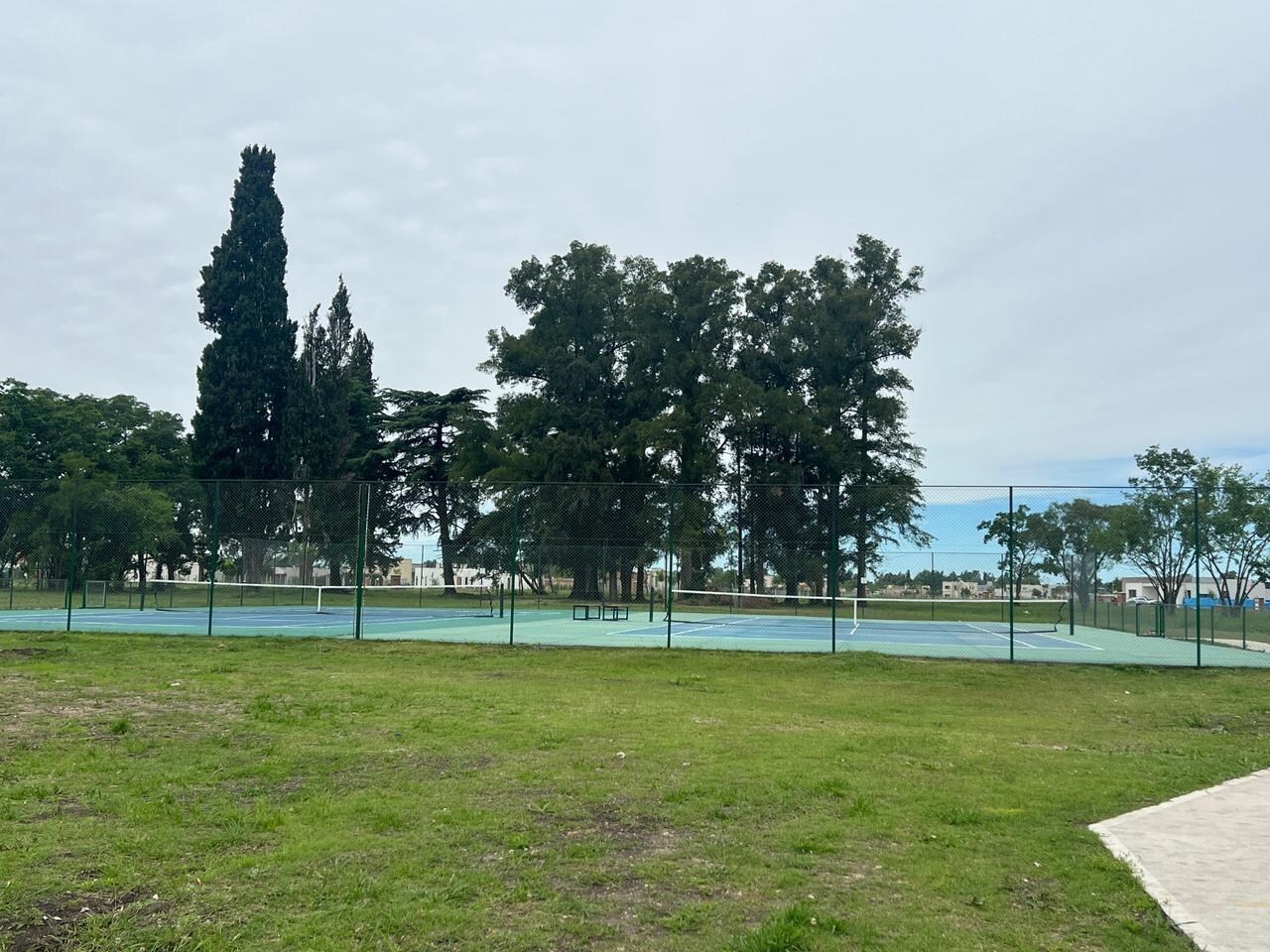 image 37