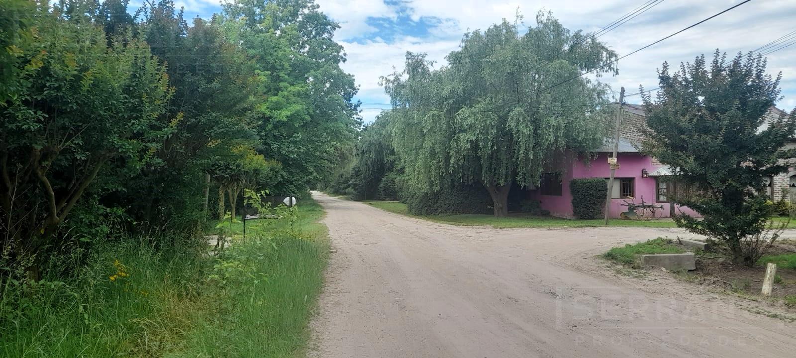 image 18