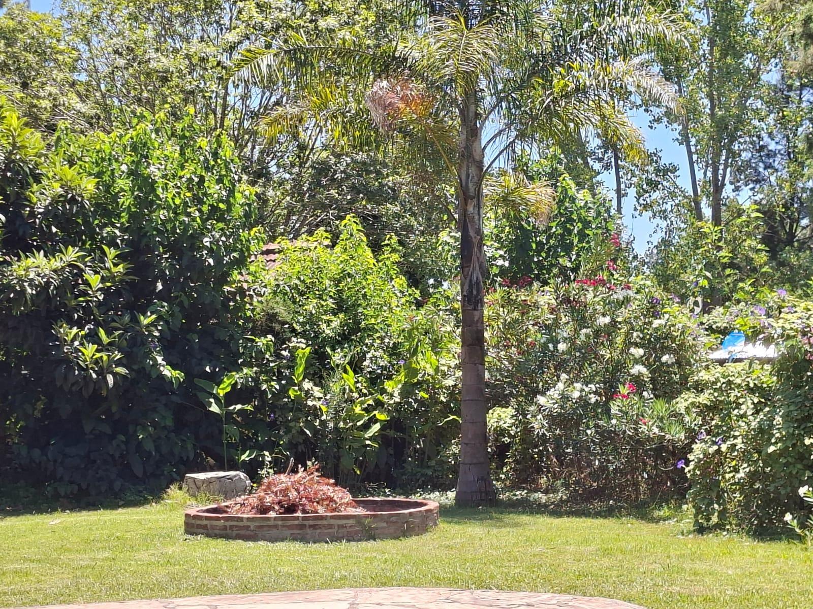 image 23