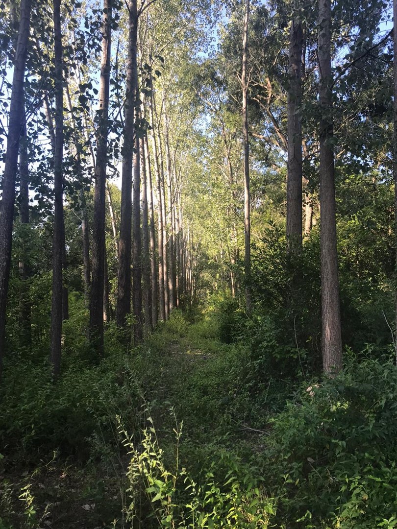 image 23