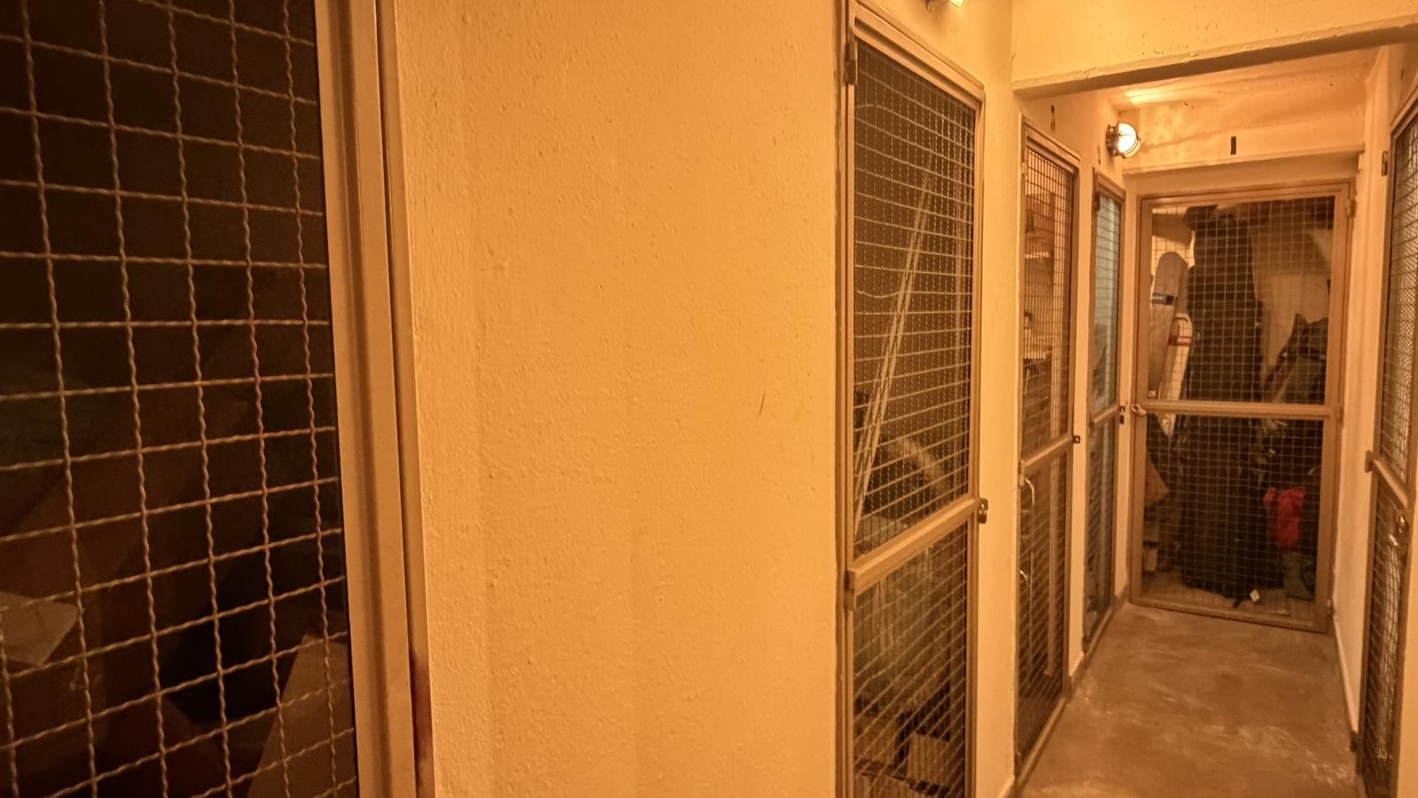 image 60