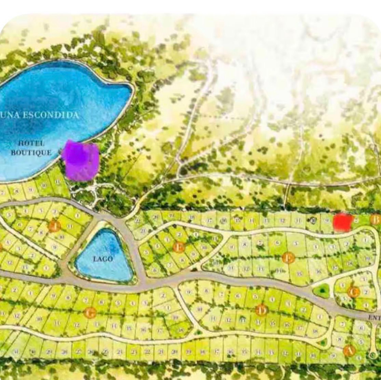 image 17