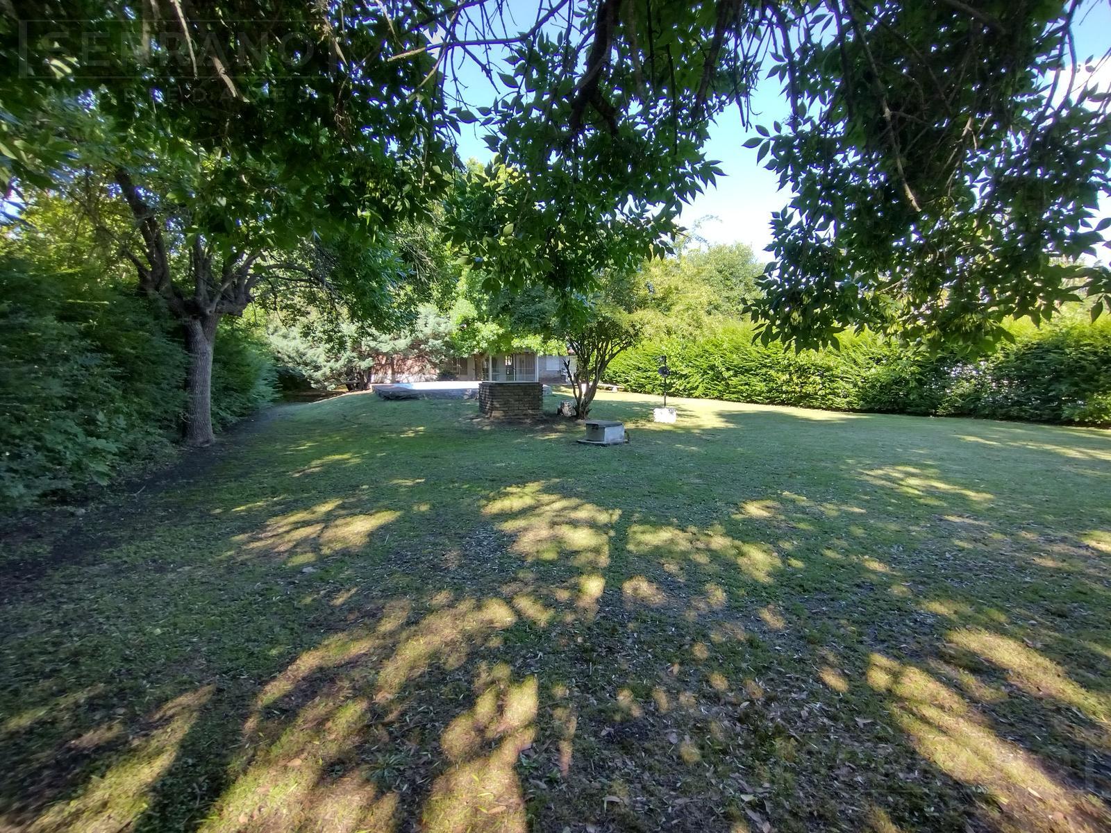 image 31
