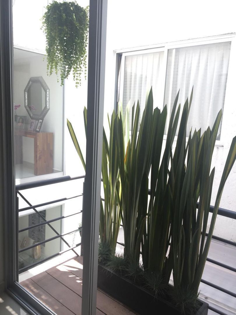 balcon.jpeg