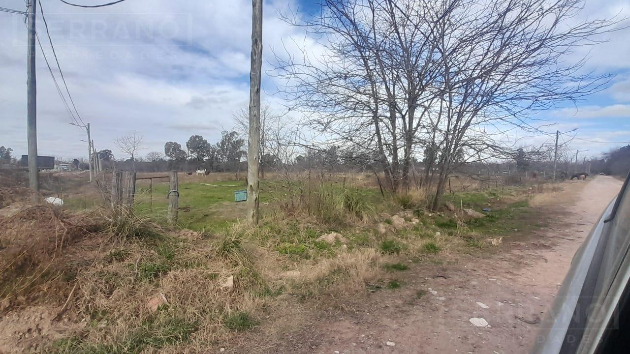 image 13