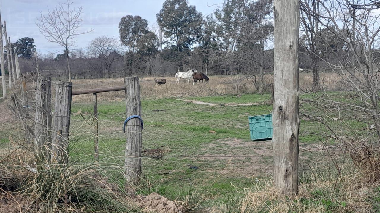 image 14
