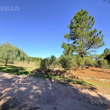 Terreno en venta  en Zagarzazu 500 m2 .