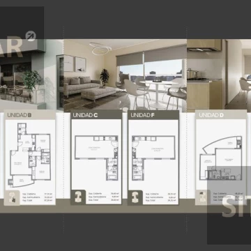 1787077647.jpg