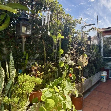 VENTA PH 2 AMBIENTES CON PATIO TERRAZA Y QUINCHO EN CABALLITO