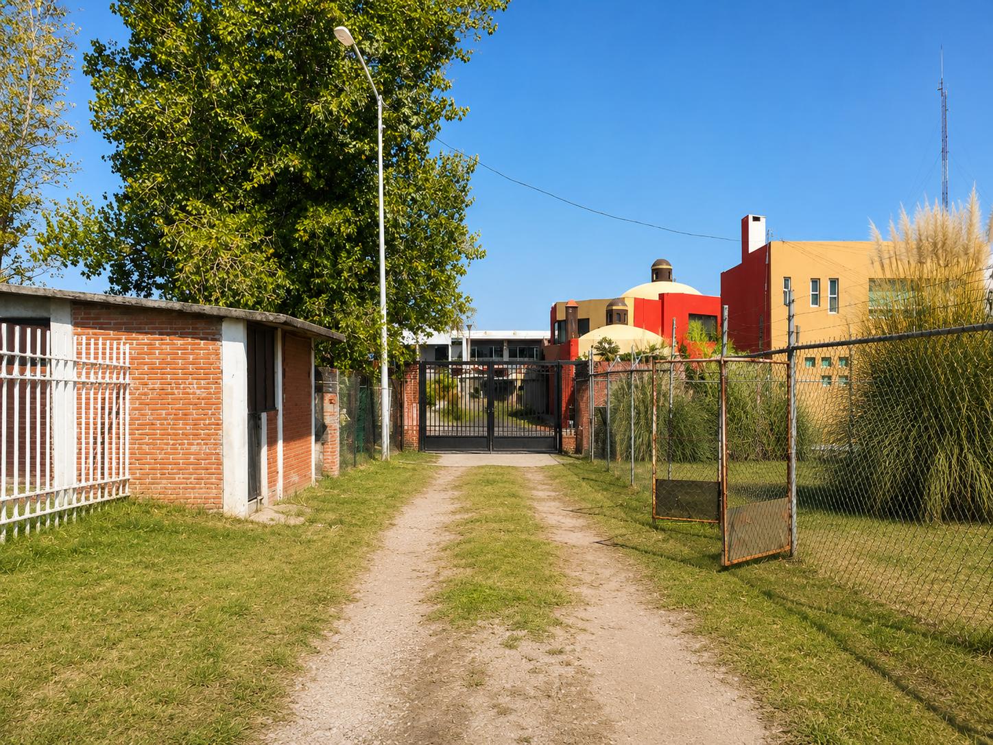 image 6