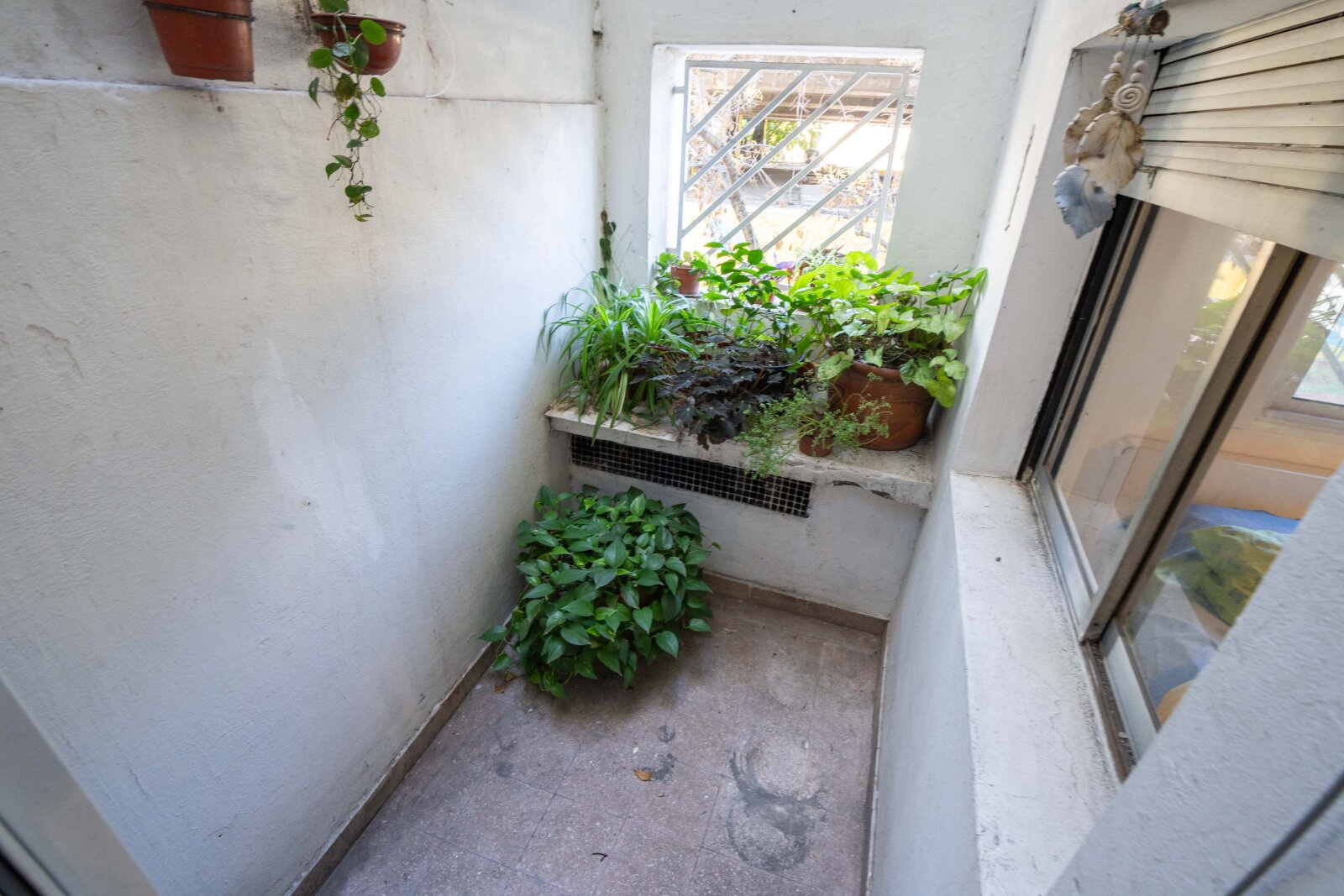 image 14