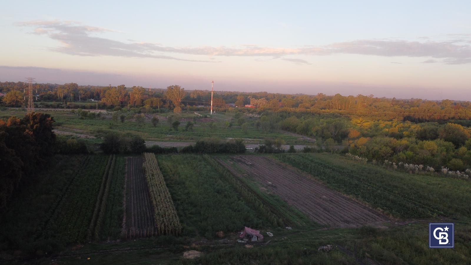 image 13