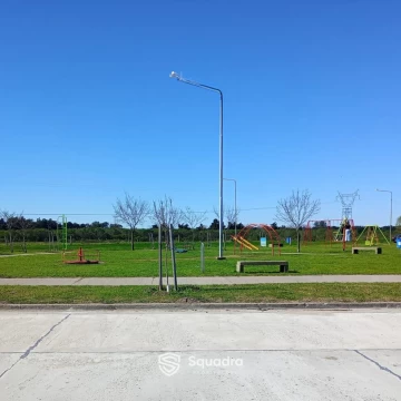 1787080353.jpg