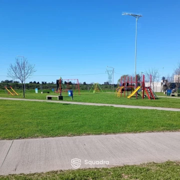 1787080355.jpg