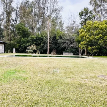 1787081081.jpg