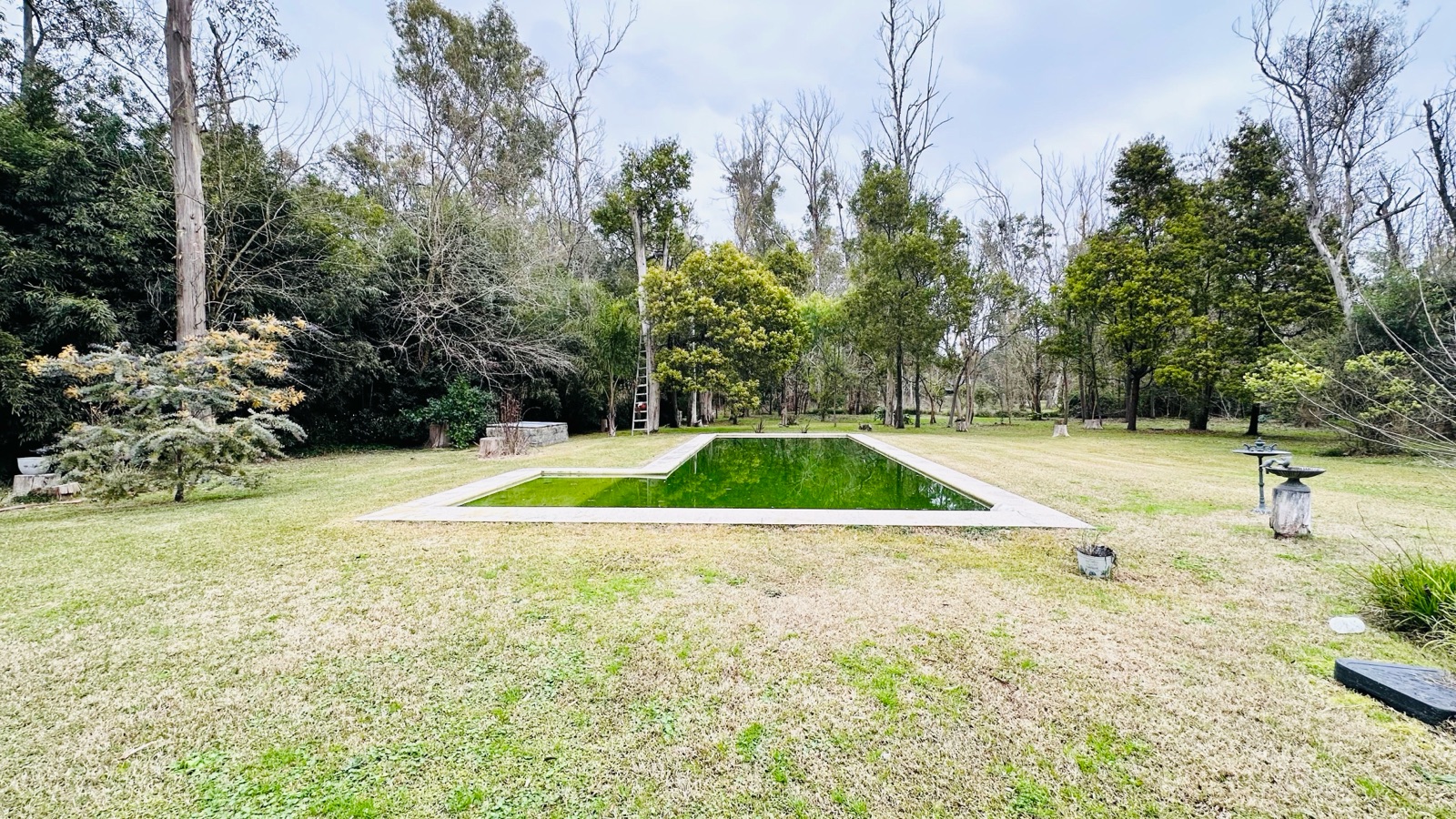 image 45