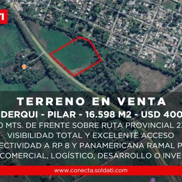 Macrolote de 16.598 m2 sobre Ruta 234 en Presidente Derqui
