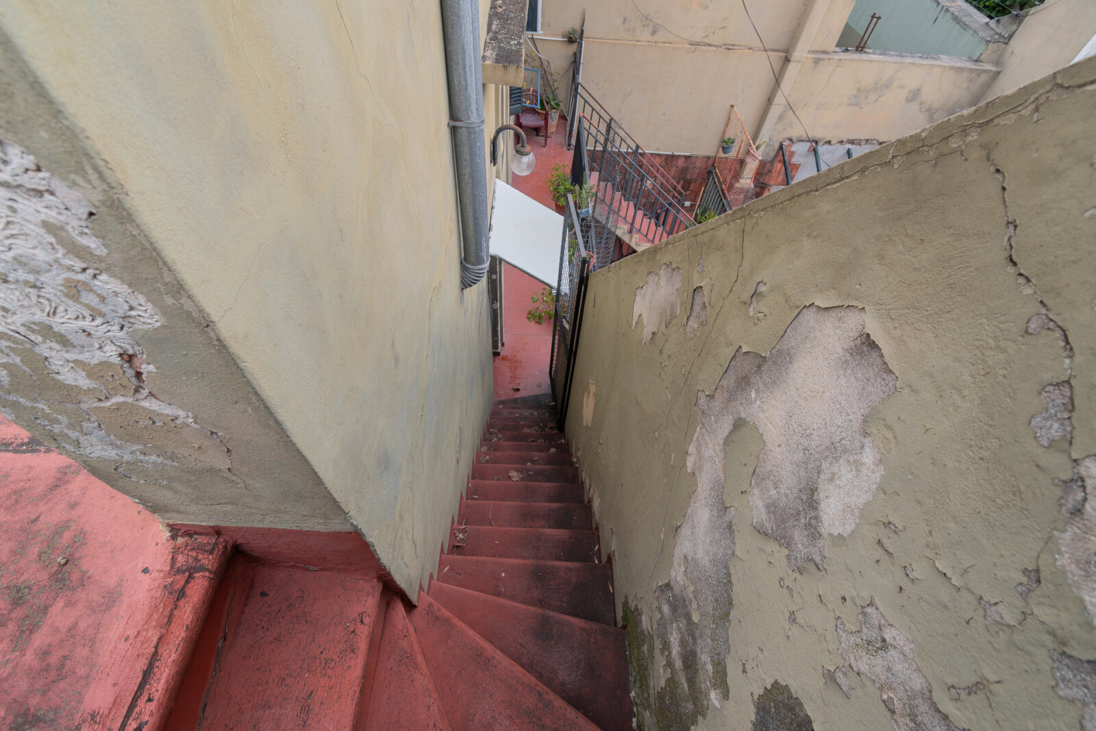 image 36